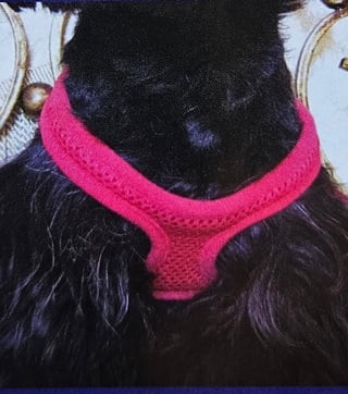 Choke Free Dog Harness Shoulder Collar- Black