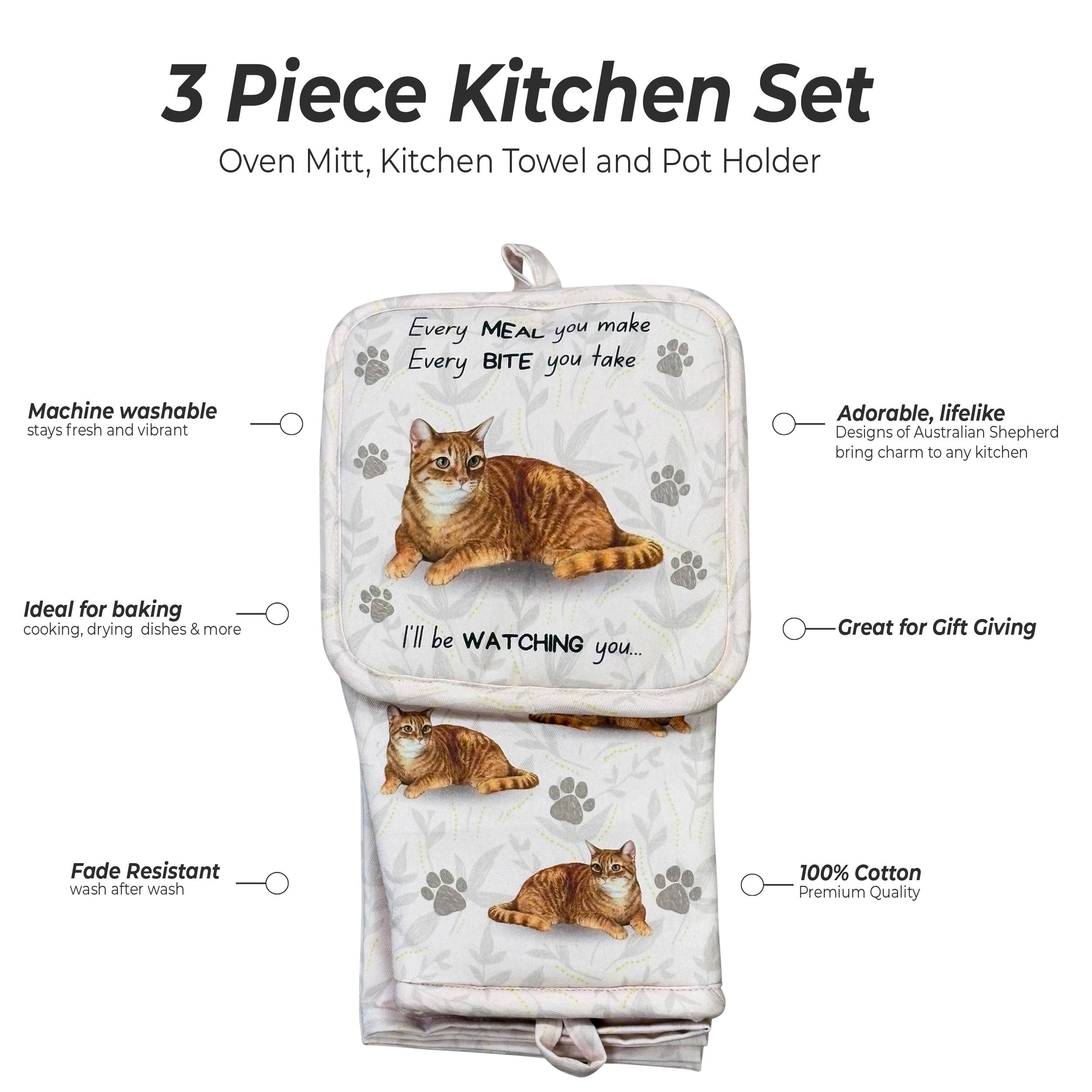 Tabby orange, oven mitt set