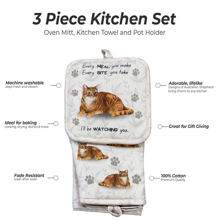 Tabby orange, oven mitt set