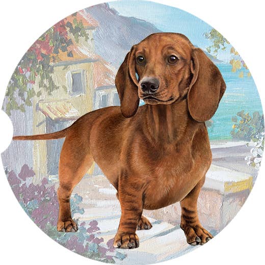 Dachshund, Red Car Coaster: SITTING