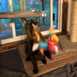 Meowijuana® Get Smashed Llama Piñata Refillable Wand Cat Toy