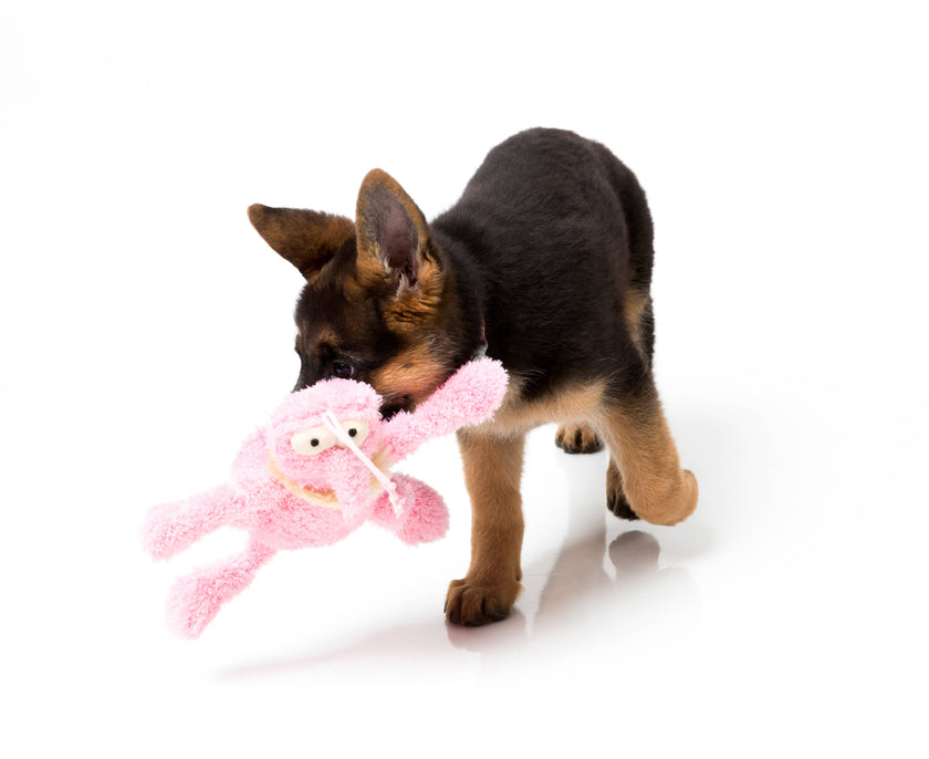 FuzzYard Dog Toy Scratchette Pink Flea Large