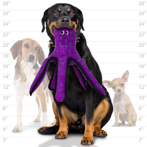 Tuffy Ocean Large Octopus, Durable, Tough, Squeaky Dog Toy