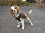 Boyfriend Dog Pet Sweater