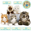 Ricky The Maine Coon | 16 Inch Stuffed Animal Plush | By TigerHart Toys
