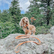 Dog Waste Bag Holder Orange With Clasp
