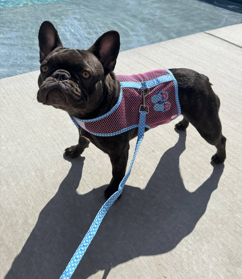 Cool Mesh Dog Harness - Pink & Blue Flip Flop