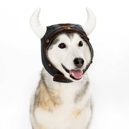 Viking Helmet Dog or Cat Costume Hat