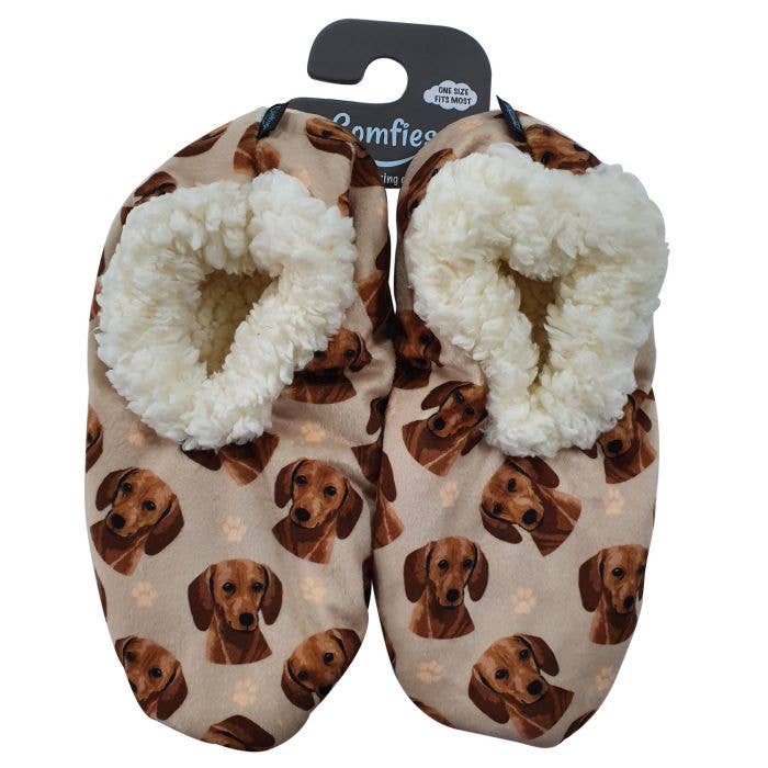 Dachshund, Red Slippers