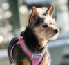 Reflective Lightweight Breathable Step in Dog Harness