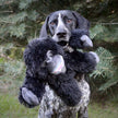 Gorilla Rope Body Dog Toy