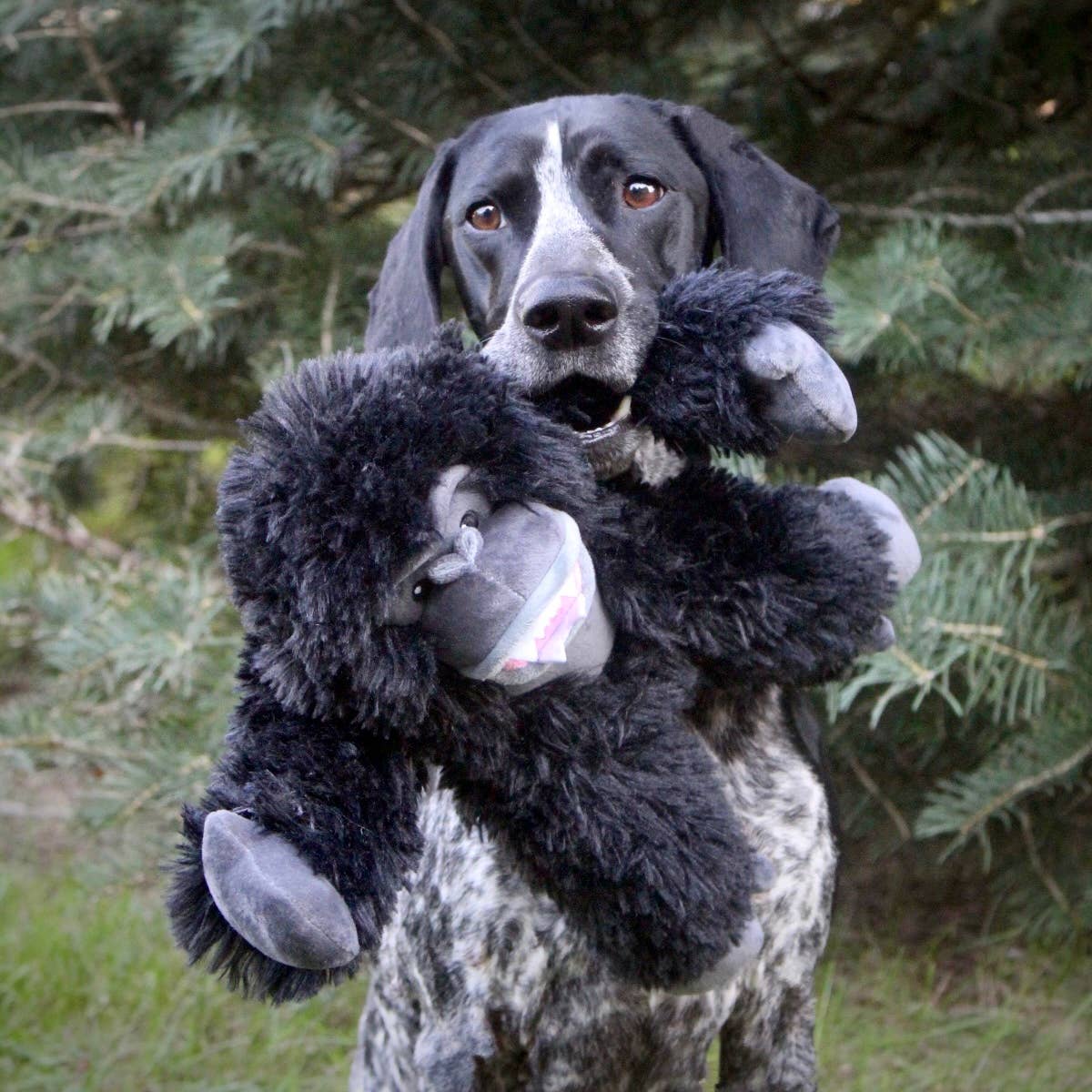 Gorilla Rope Body Dog Toy