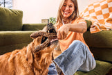 Dog Toy Beef WOOF HonestChew Meaty YGnawt Dog Chew Toy