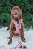 Dog Waste Bag Holder Dusty Rose With Clasp