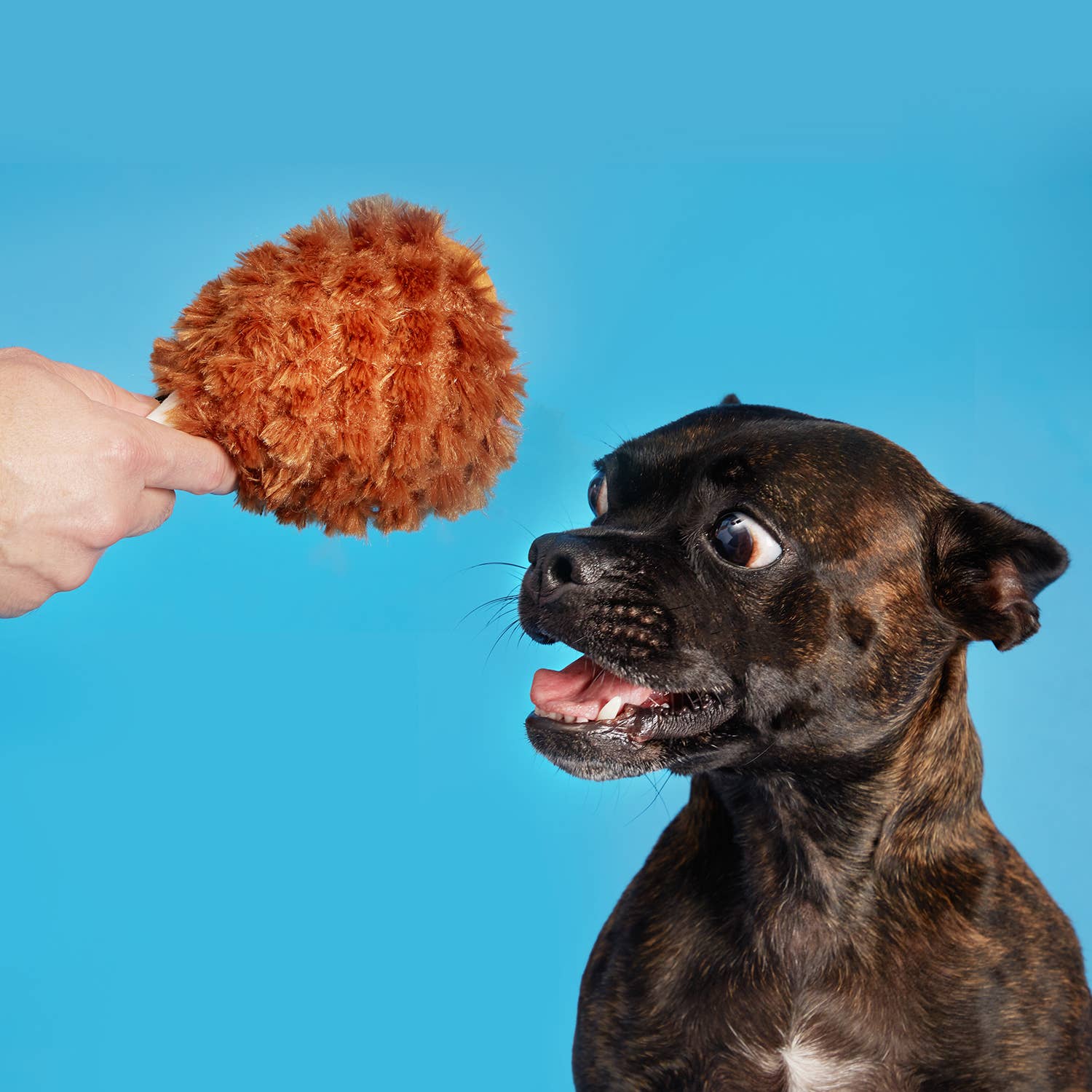 BARK Tavern Turkey Leg Plush Food Dog Toy