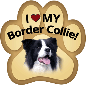 Show off your love for your favorite furry friend with our Border Collie Paw Magnet! Perfect for your car trunk or any magnetic surface, this adorable paw-shaped magnet features a vibrant image of your favorite dog or cat breed. Made from durable, weather-resistant materials, it’s designed to withstand the elements while adding a touch of personality to your vehicle or home.