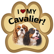 Show off your love for your favorite furry friend with our Cavalier King Charles Paw Magnet! Perfect for your car trunk or any magnetic surface, this adorable paw-shaped magnet features a vibrant image of your favorite dog or cat breed. Made from durable, weather-resistant materials, it’s designed to withstand the elements while adding a touch of personality to your vehicle or home.