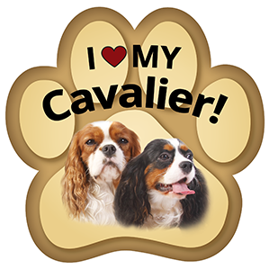 Show off your love for your favorite furry friend with our Cavalier King Charles Paw Magnet! Perfect for your car trunk or any magnetic surface, this adorable paw-shaped magnet features a vibrant image of your favorite dog or cat breed. Made from durable, weather-resistant materials, it’s designed to withstand the elements while adding a touch of personality to your vehicle or home.