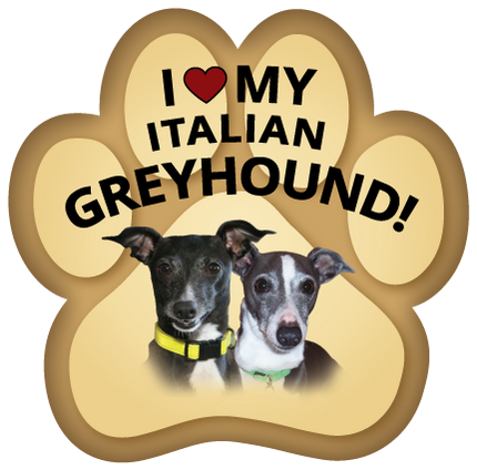 Show off your love for your favorite furry friend with our Italian Greyhound Paw Magnet! Perfect for your car trunk or any magnetic surface, this adorable paw-shaped magnet features a vibrant image of your favorite dog or cat breed. Made from durable, weather-resistant materials, it’s designed to withstand the elements while adding a touch of personality to your vehicle or home.