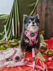 Dog Waste Bag Holder Dusty Rose With Clasp