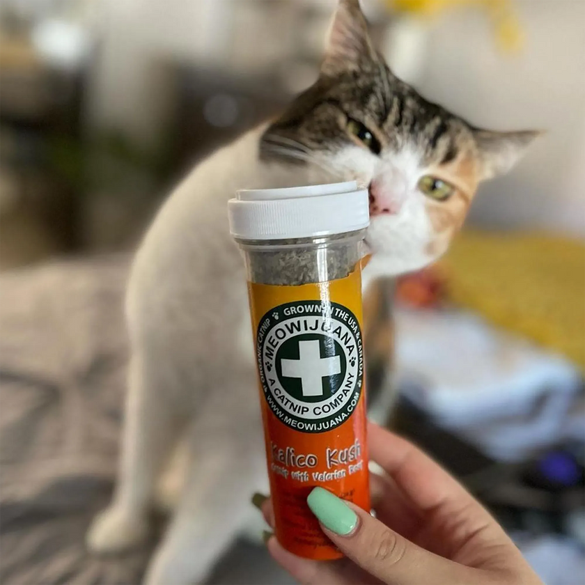 Meowijuana® Kalico Kush - Valerian Root and Catnip Blend
