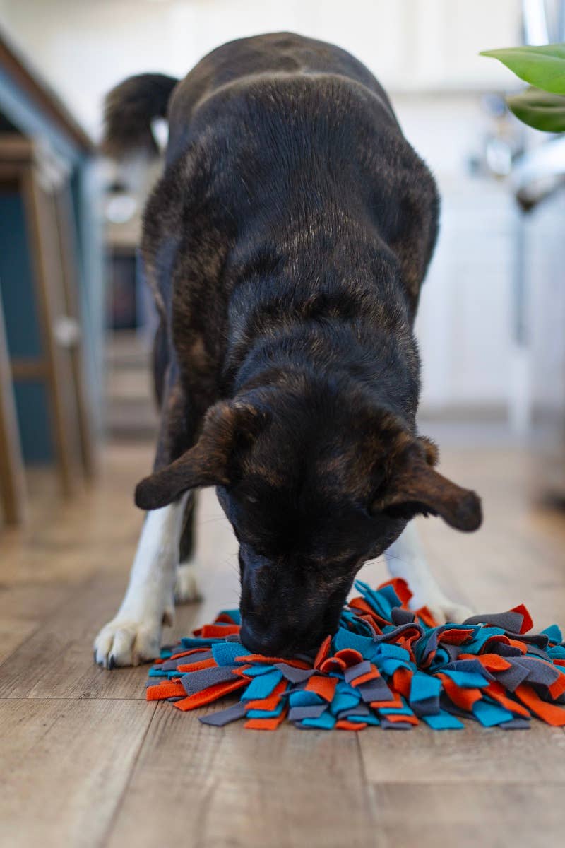 Messy Mutts Round Forage/Snuffle Mat 15
