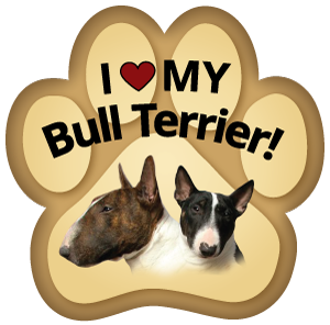 Show off your love for your favorite furry friend with our Bull Terrier Paw Magnet! Perfect for your car trunk or any magnetic surface, this adorable paw-shaped magnet features a vibrant image of your favorite dog or cat breed. Made from durable, weather-resistant materials, it’s designed to withstand the elements while adding a touch of personality to your vehicle or home.