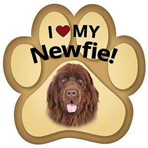 Show off your love for your favorite furry friend with our Newfoundland Paw Magnet! Perfect for your car trunk or any magnetic surface, this adorable paw-shaped magnet features a vibrant image of your favorite dog or cat breed. Made from durable, weather-resistant materials, it’s designed to withstand the elements while adding a touch of personality to your vehicle or home.