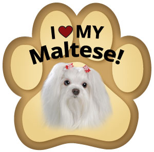 Show off your love for your favorite furry friend with our Maltese Paw Magnet! Perfect for your car trunk or any magnetic surface, this adorable paw-shaped magnet features a vibrant image of your favorite dog or cat breed. Made from durable, weather-resistant materials, it’s designed to withstand the elements while adding a touch of personality to your vehicle or home