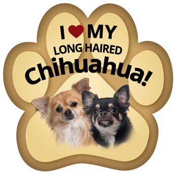 Show off your love for your favorite furry friend with our Long Haired Chihuahua Paw Magnet! Perfect for your car trunk or any magnetic surface, this adorable paw-shaped magnet features a vibrant image of your favorite dog or cat breed. Made from durable, weather-resistant materials, it’s designed to withstand the elements while adding a touch of personality to your vehicle or home