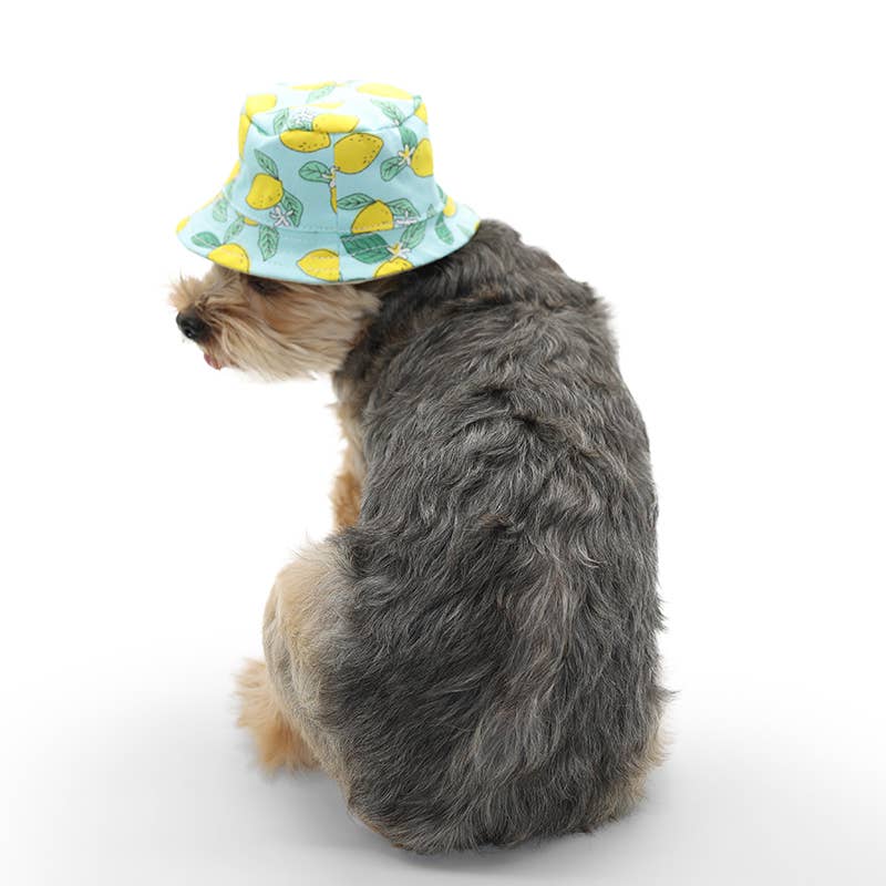 Bucket Pet Hat Lemon Blue