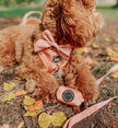 Dog Waste Bag Holder Apple Cider With Clasp