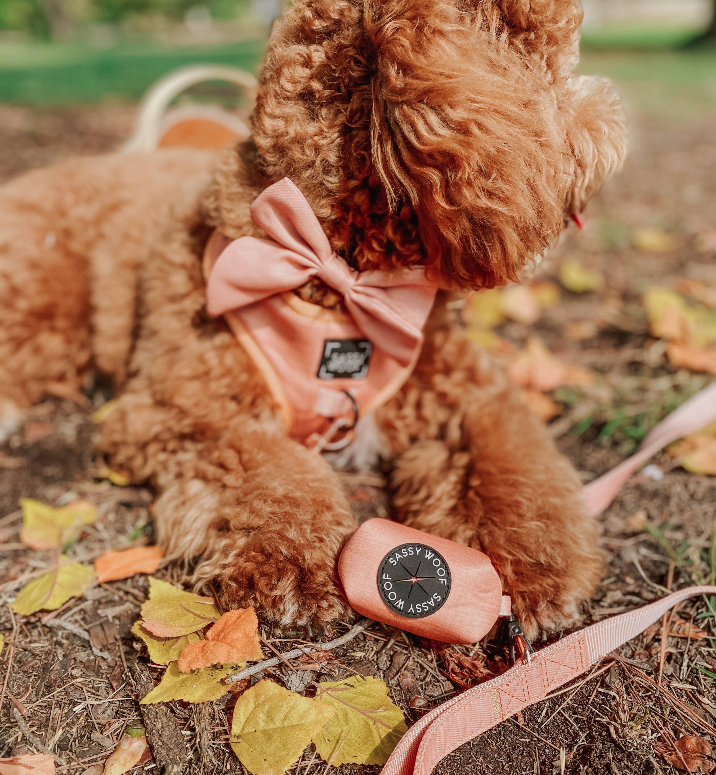 Dog Waste Bag Holder Apple Cider With Clasp