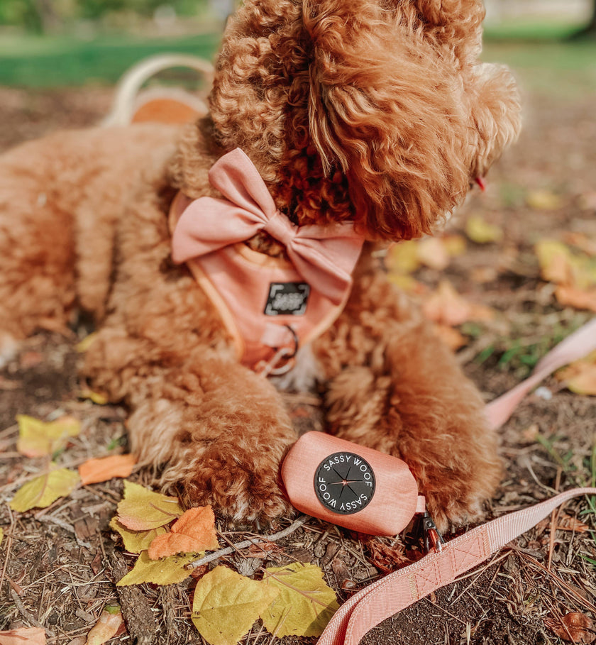 Dog Waste Bag Holder Apple Cider With Clasp