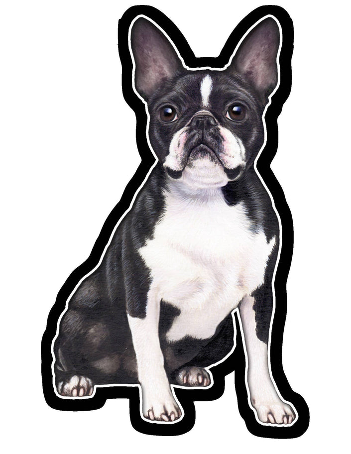 Boston Terrier  - Vinyl Sticker