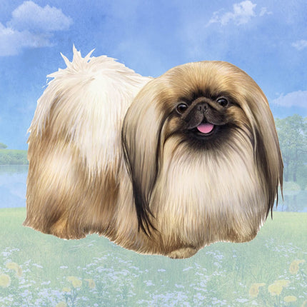 Pekingese Square Coaster