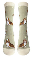 Basset Hound - Unisex - Fun Novelty Socks - Dog Socks