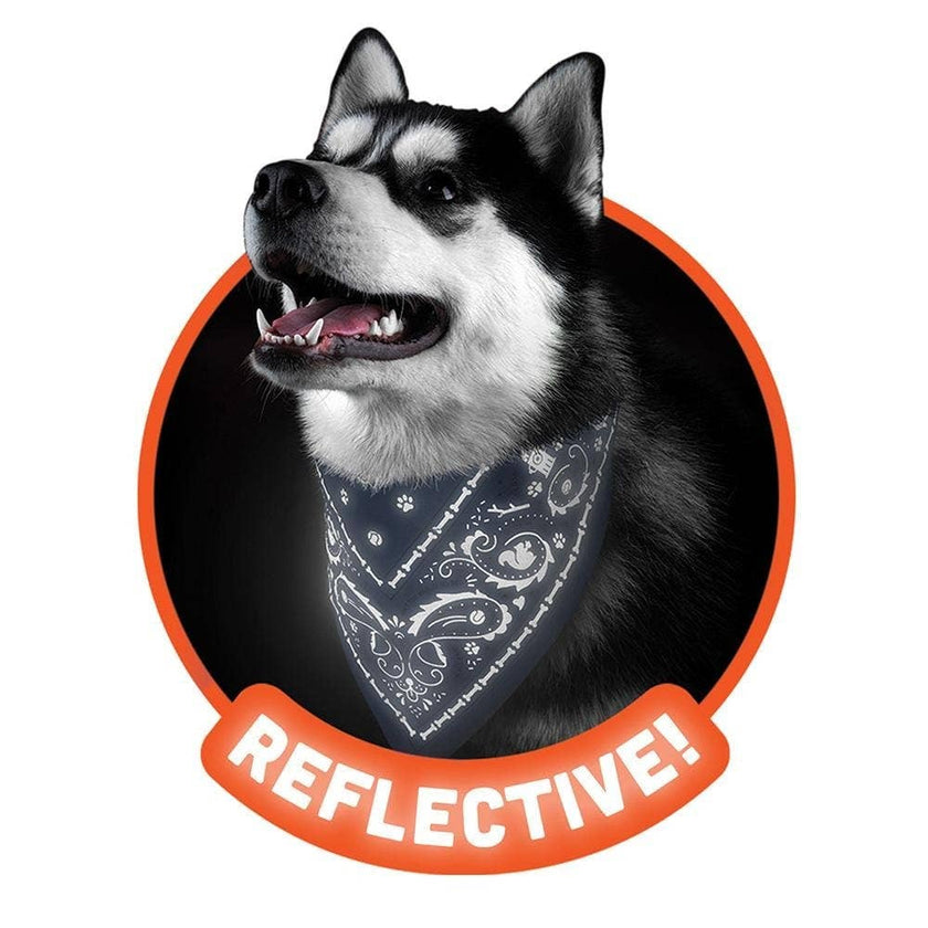 Howligans - Dog Bandana - Small Navy