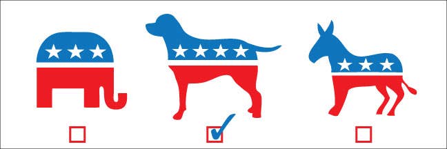 I Choose the Dog Bumper Car Magnet