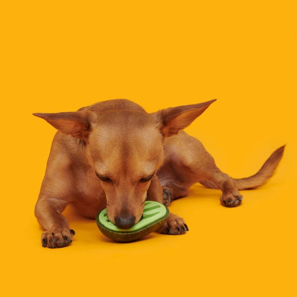 BARK Avocadoggo Super Chewer Dog Toy