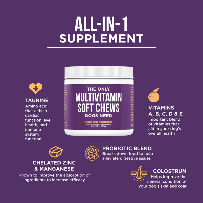 The Only Multivitamin Soft Chews Dogs Need
