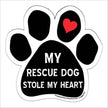 My Rescue Dog Stole My Heart Paw Magnet