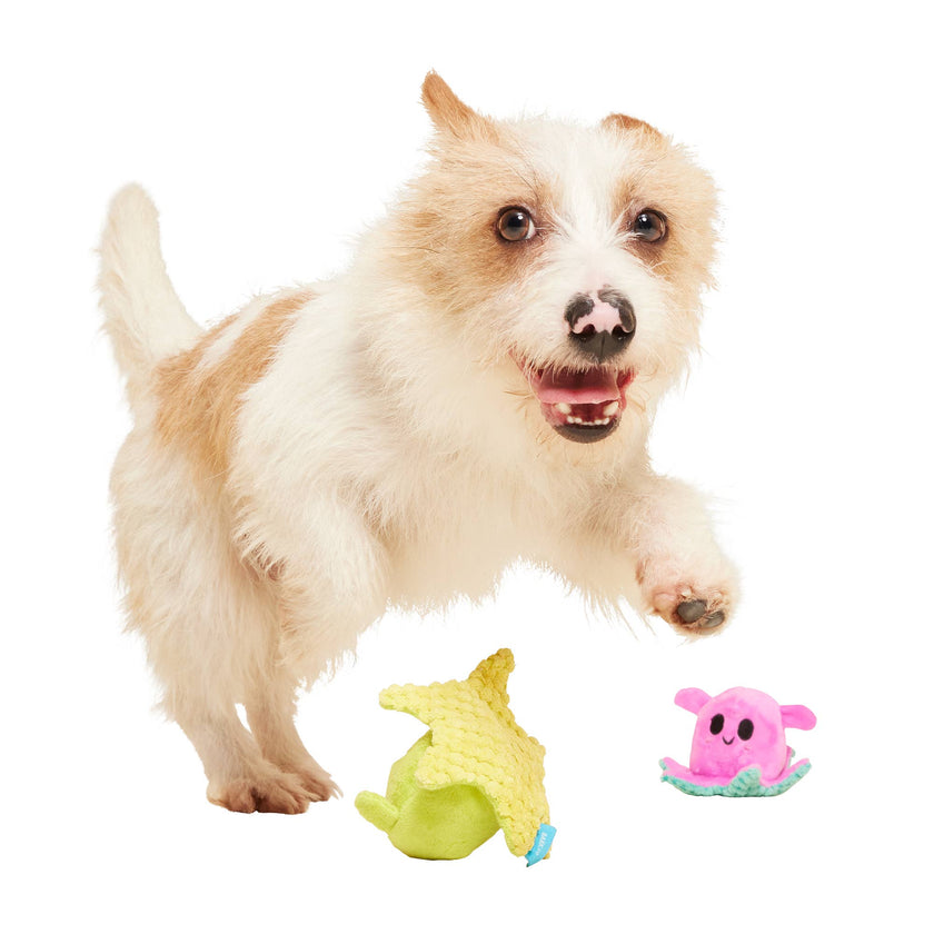 Dog Toy Octopus BARK Lil' Squirts Plush Dog Toy
