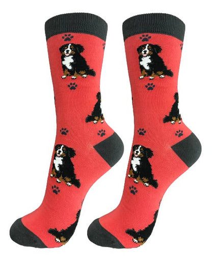 Bernese Mt. Dog- Dog Socks Unisex