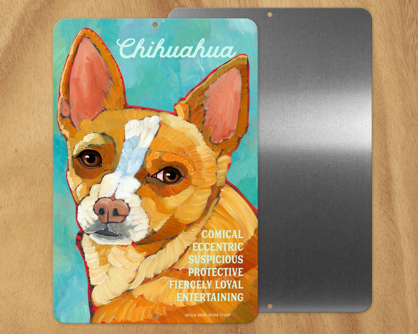 Chihuahua (Tan & White) -UD Metal Sign
