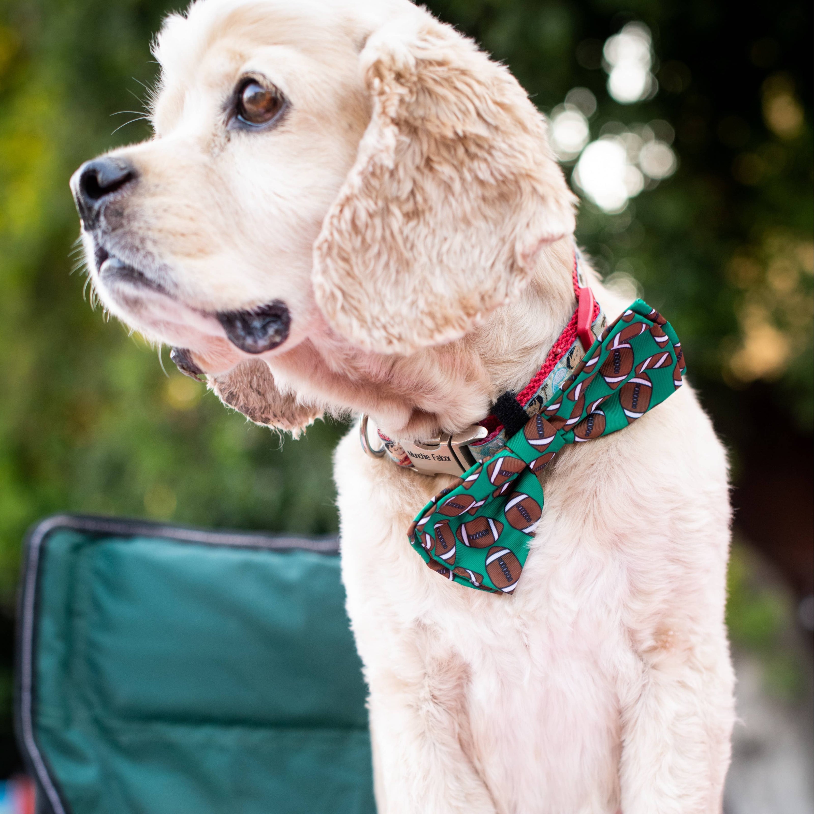 H&K Bow Tie Football