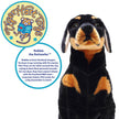 Plush Rottweiler 27