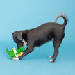 Dog Toy Dinosaur Pool Side Rex Latex Toy