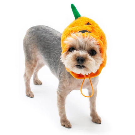 Jack-O-Lantern Dog or Cat Costume Hat