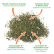 Catnip Pawty Mix